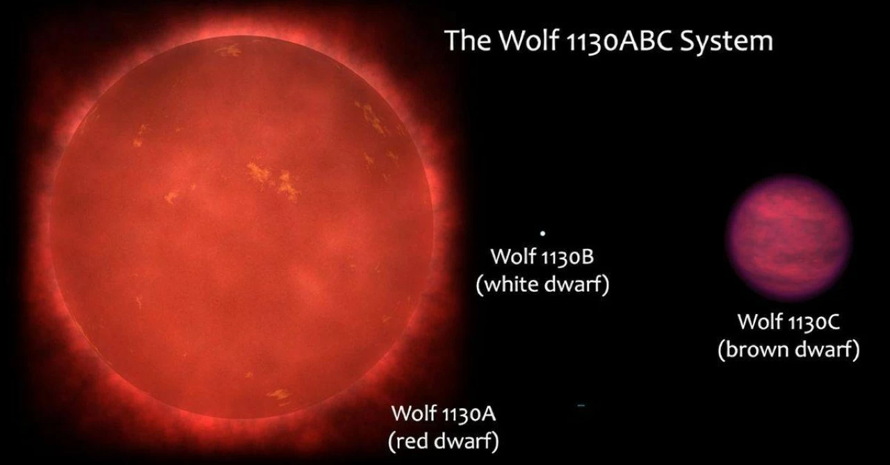 Illustration of the Wolf 1130ABC system. 
