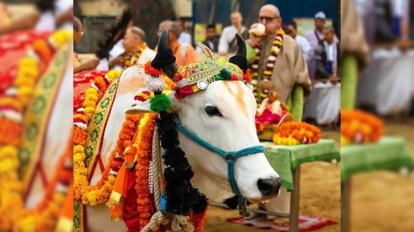 Govardhan Puja: Why Lord Vishwakarma is worshipped on same day