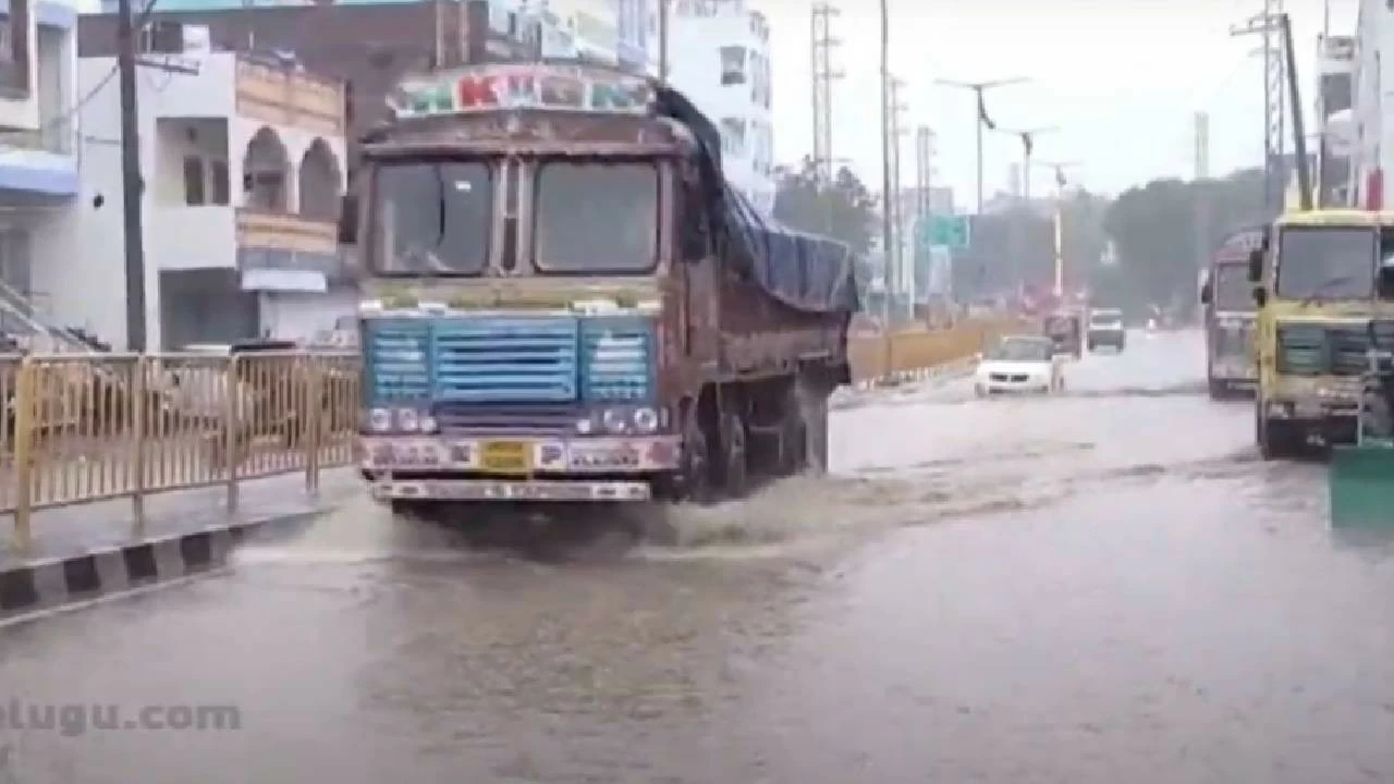 vizagrains