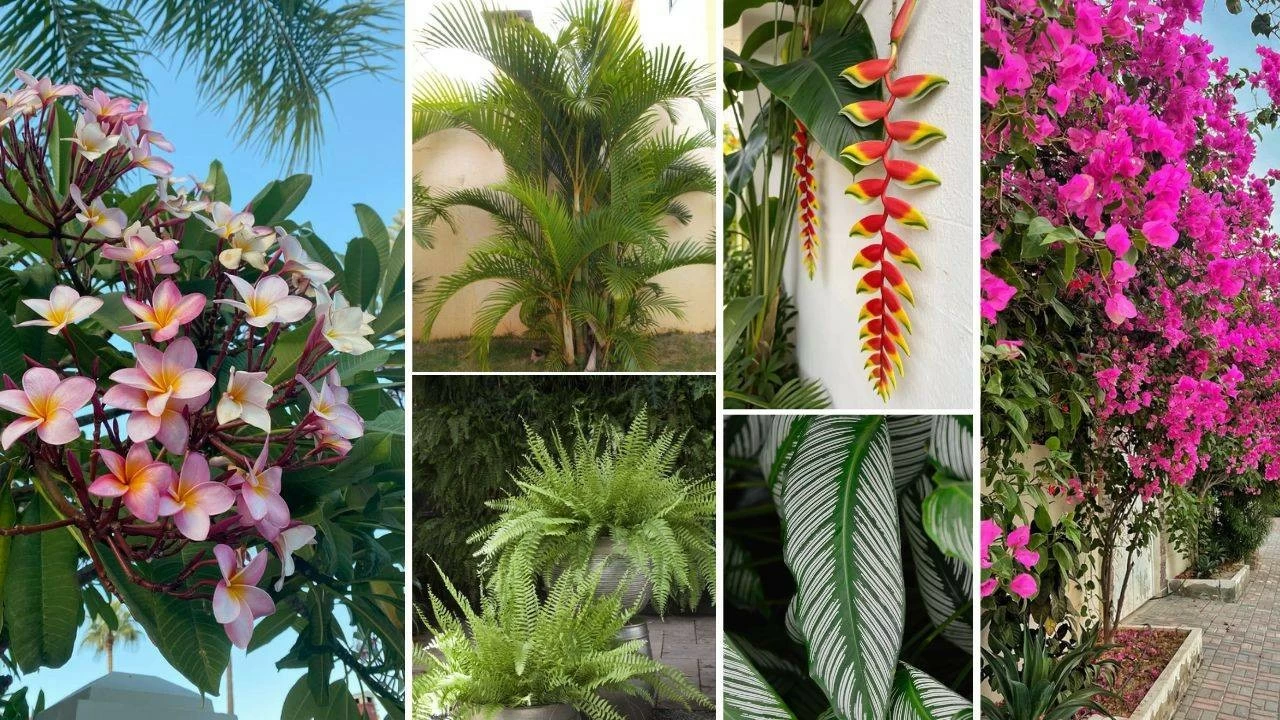 Transform your home garden into resort-style haven with these tropical plants