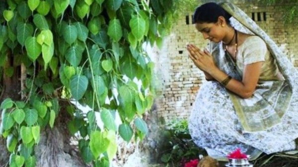 Dev Deepawali 2025: Effective tips to attract money and prosperity