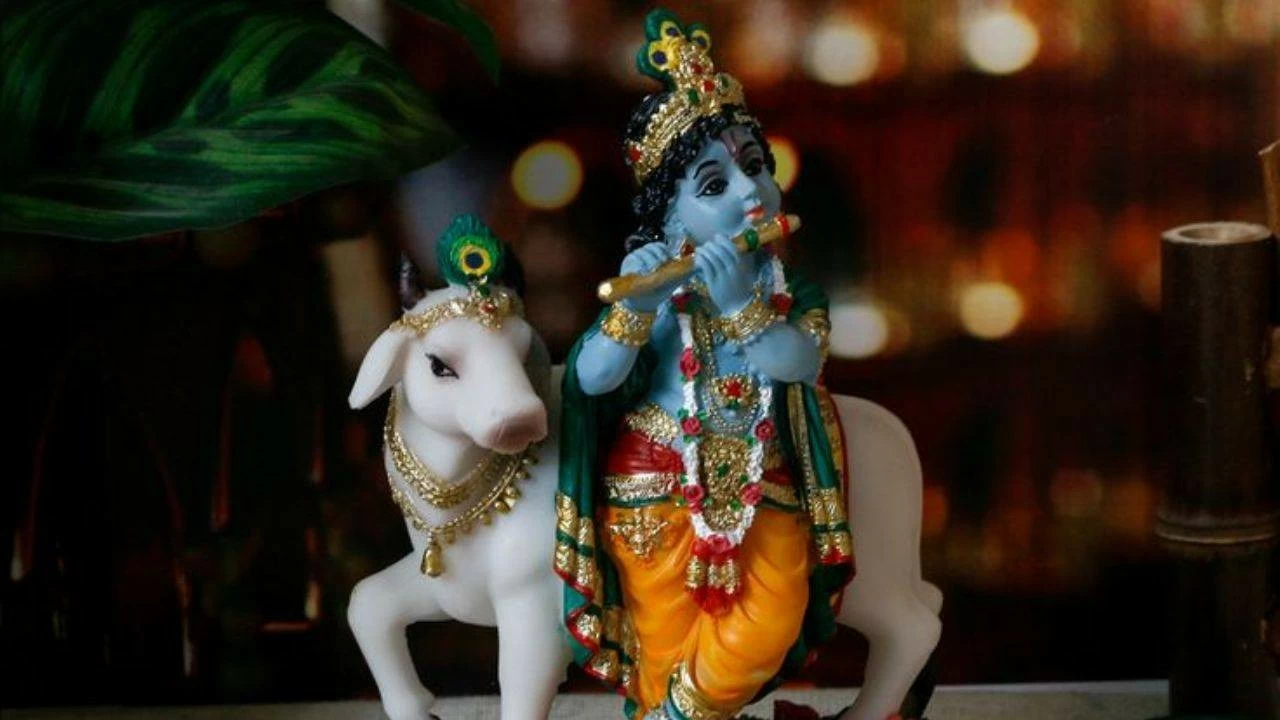 Importance of cow worship on Gopashtami