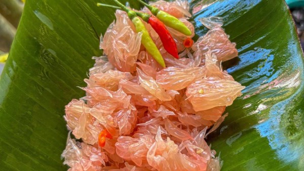 Assam’s winter fruit salad: Tangy recipes you can make at home