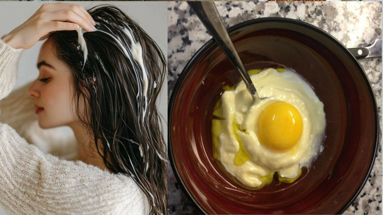 Winter hair care: Egg and curd mask (Photo: Pixabay)