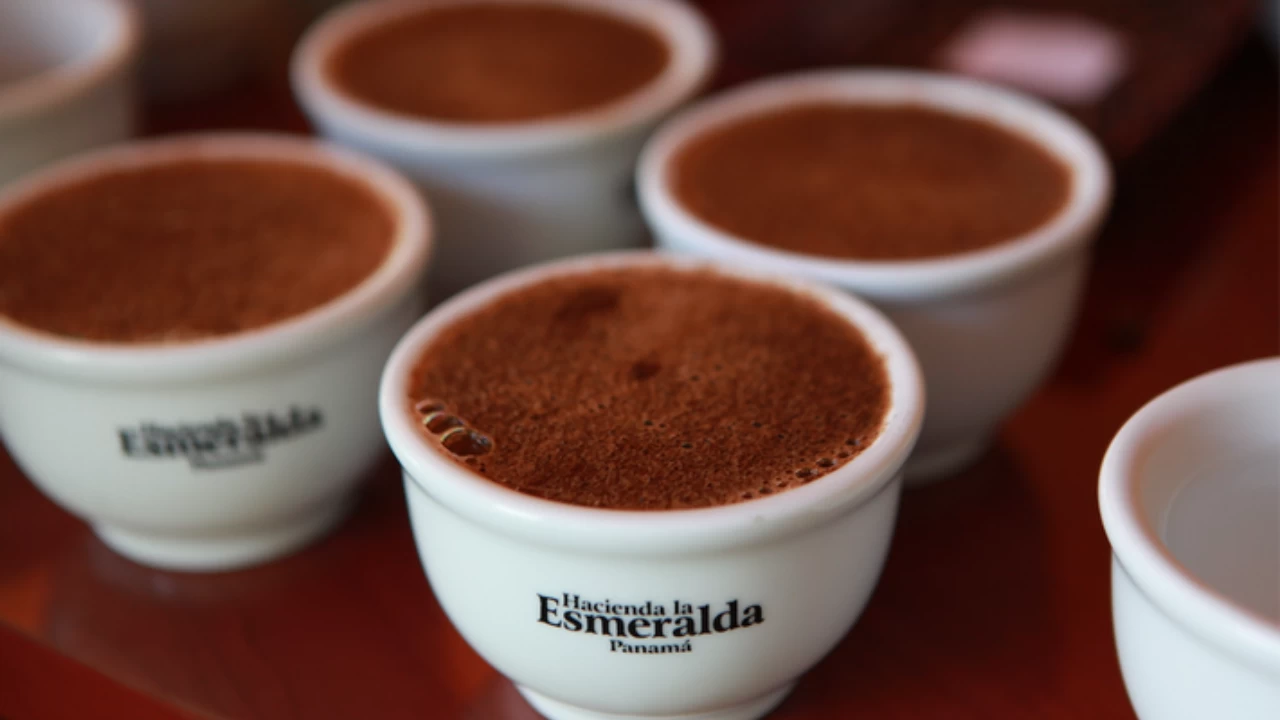 Discover the world’s most expensive cup of coffee in 2025

