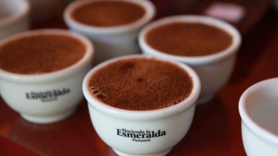 Discover the world’s most expensive cup of coffee in 2025

