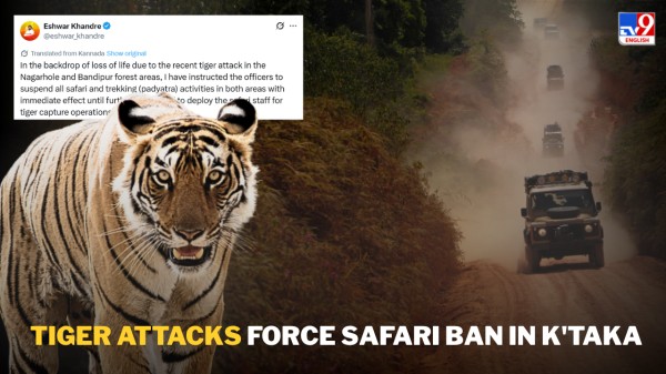 Karnataka halts safaris and trekking after three tiger attacks spark fear in Bandipur region.