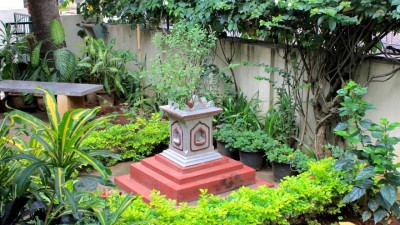 Easy ways to protect your plants during cold months

