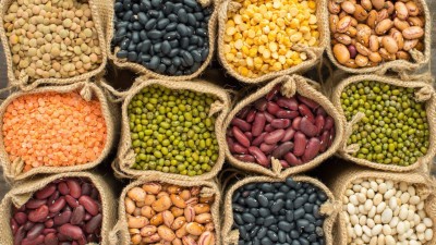 Say goodbye to worms in pulses with home storage tips

