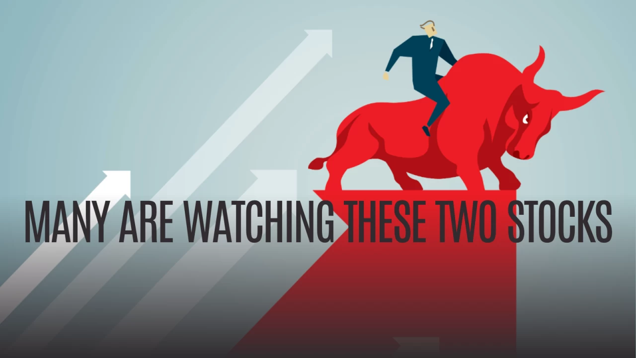 Consistent performers in the mid cap space always have the opportunity to graduate to the large cap space.