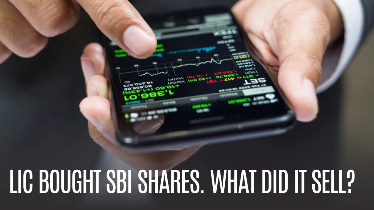 Any portfolio reshuffle by LIC is scrutinised by common investors for important inputs for drawing up their own investment strategy.