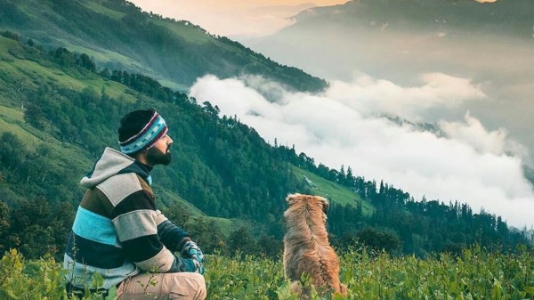 pet-friendly_destinations_(3)