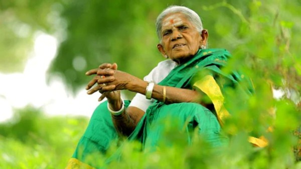 Renowned environmentalist and Padma Shri recipient ‘Saalumarada’ Thimmakka passed away on November 14 in Bengaluru. (Photo: X/@siddaramaiah)