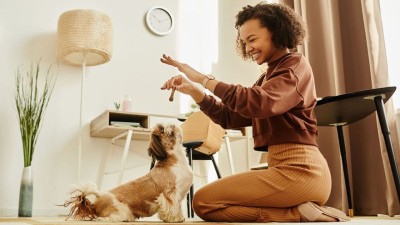 Simple tricks to boost your pet’s indoor activity levels this winter

