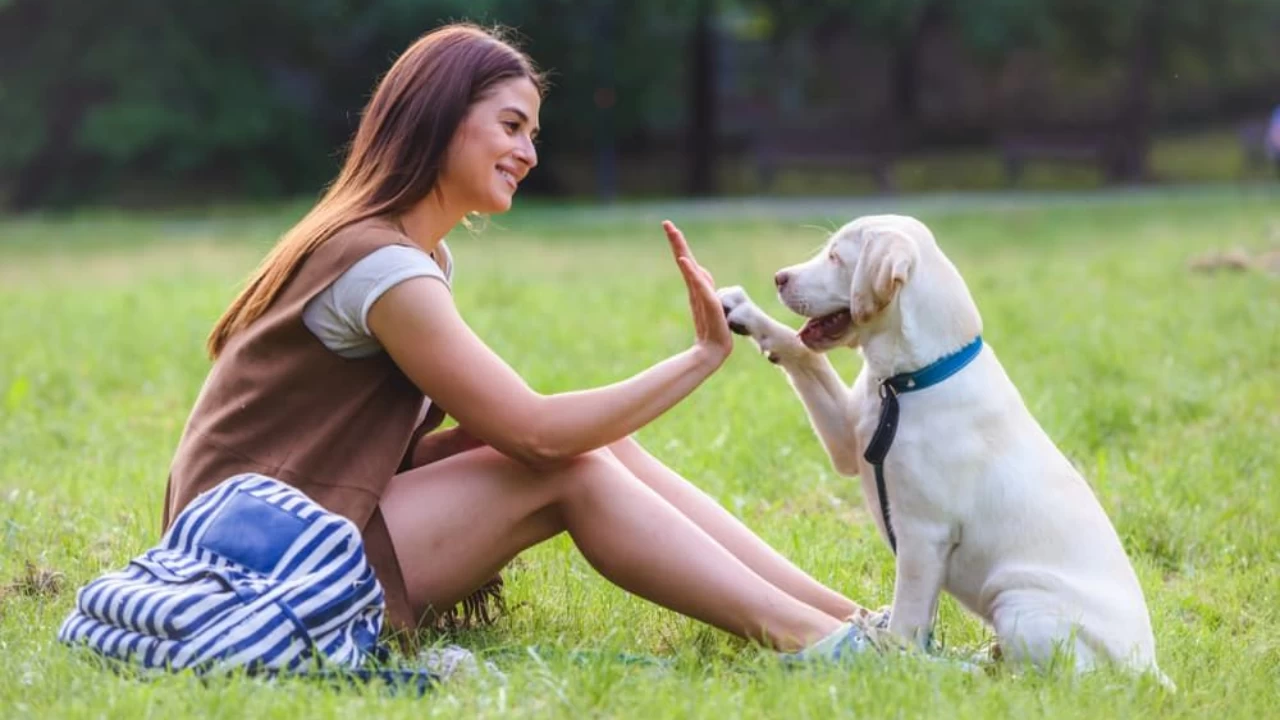 Calming activities to unwind with your pet this winter

