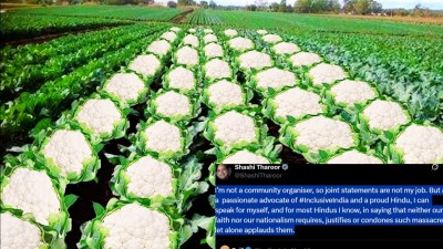 The image shared by the Assam Minister alluded to the 1989 Logain massacre in Bhagalpur, Bihar