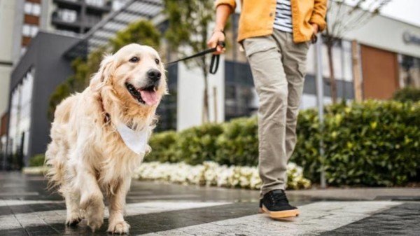 vrishchika_sankranti_(3)