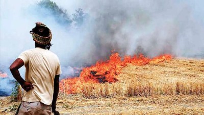 The stubble burning has led to an increase in air pollution in Delhi and nearby areas. 