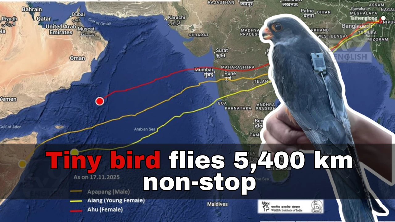 Manipur’s_sky_hero_Apapang_beats_all_odds,_crosses_Arabian_Sea_in_5_days