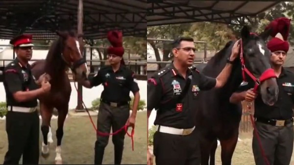 The 25-year-old equine veteran was formally adopted by the President’s Bodyguard (PBG), the country’s oldest surviving cavalry unit