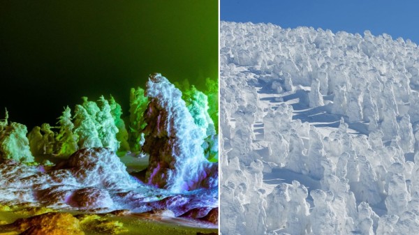 Japan's snow monster, also known as juhyo, is the biggest tourist attraction in the winter season.