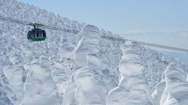 Japan’s snow monsters: Travel tips, viewing options and winter highlights