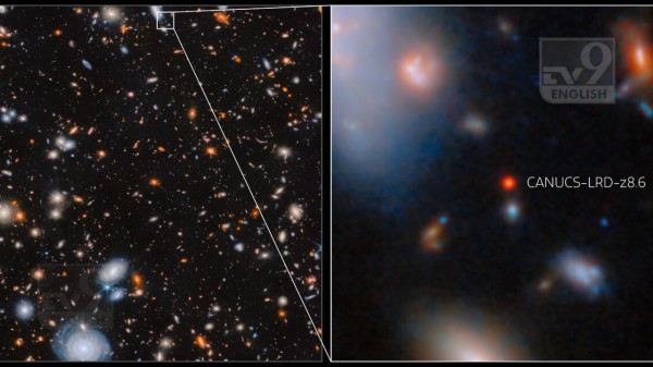 James Webb finds monster black hole in tiny galaxy just 570 million years after Big Bang | Credit:
ESA/Webb, NASA & CSA, G. Rihtaršič (University of Ljubljana, FMF), R. Tripodi (University of Ljubljana, FMF)