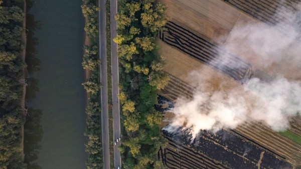Districts in the Malwa-Nimar belt continue to witness persistent burning.