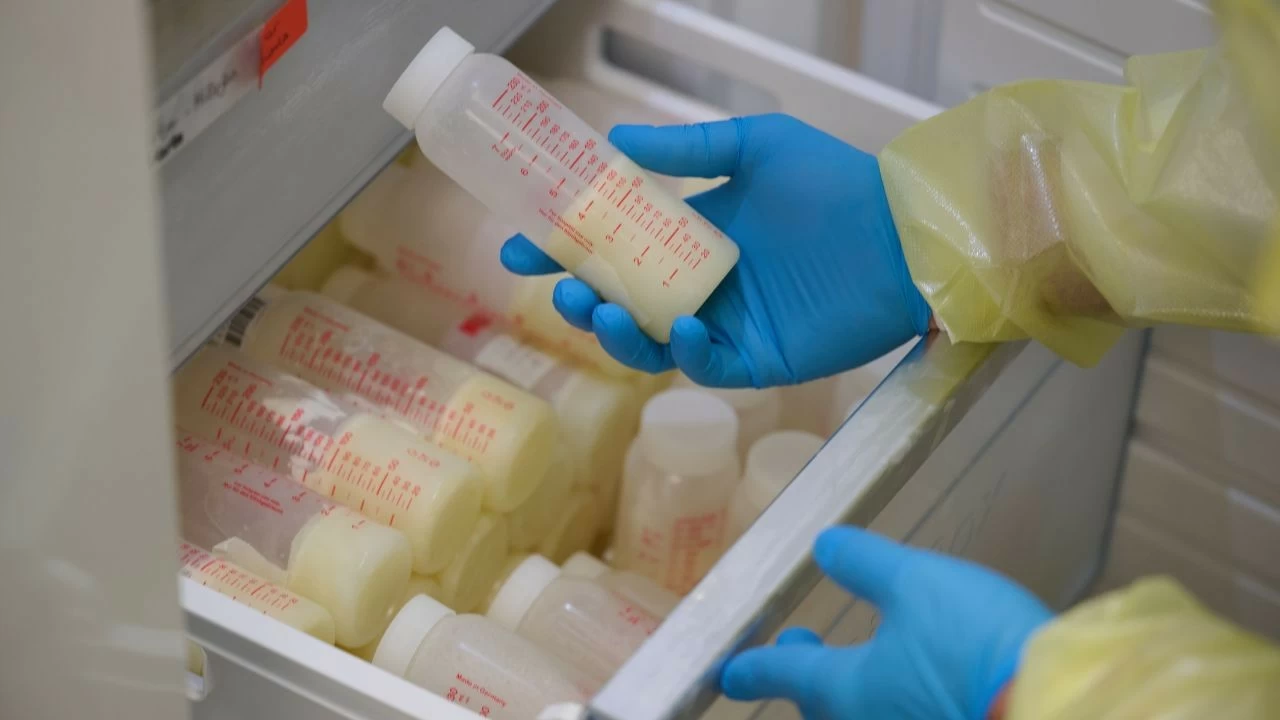 Researchers studied breast milk samples collected from 40 lactating mothers from 6 districts of Bihar (Representative image) 