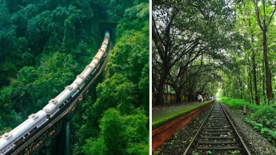 Travel India’s most thrilling rail journey through tiger reserves
