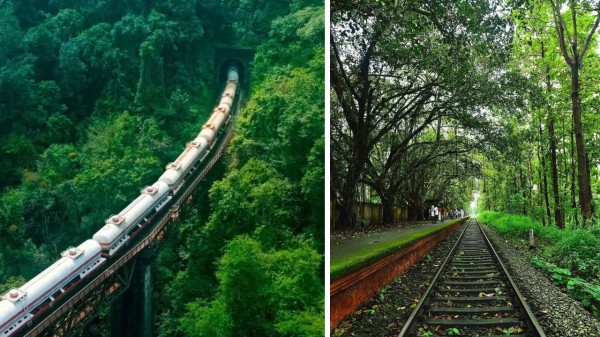 Travel India’s most thrilling rail journey through tiger reserves
