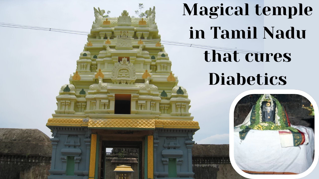 Tamil Nadu’s temple devoted to Lord of Sugarcane with diabetes healing powers
