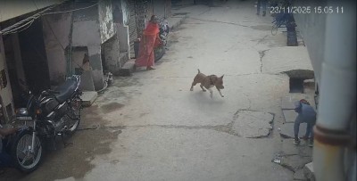 The dog’s owner, Rajesh Pal, has been arrested.
(Screengrab)