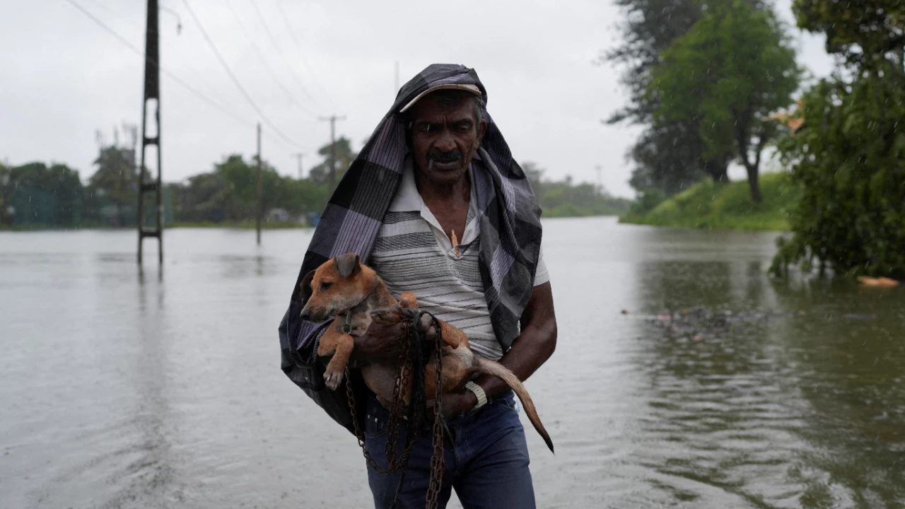 A man carrying a dog walks along a flooded street, following heavy rainfall in Wellampitiya. (Photo credit: Reuters)
