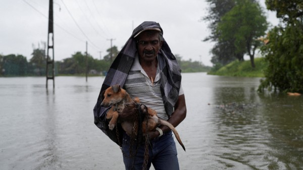 A man carrying a dog walks along a flooded street, following heavy rainfall in Wellampitiya. (Photo credit: Reuters)