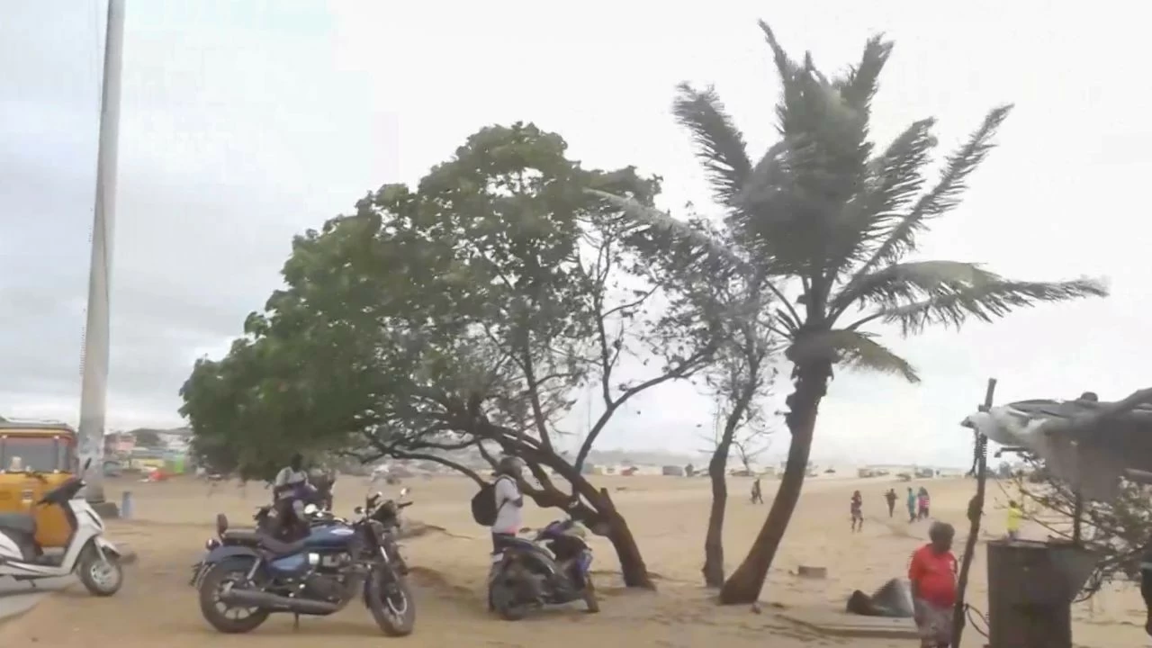 Trees sway in gusty winds at Marina Beach amid Cyclone Ditwah, in Chennai on Sunday 