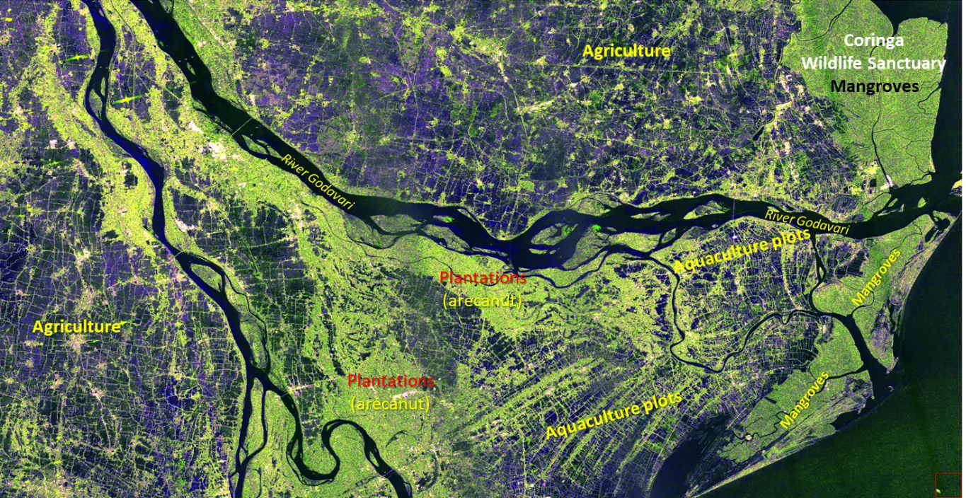 The Godavari Delta captured by NISAR. 