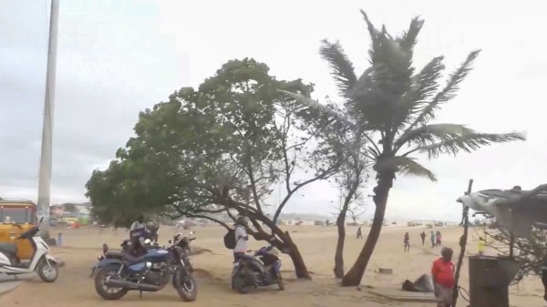 Trees sway in gusty winds at Marina Beach amid Cyclone Ditwah, in Chennai on Sunday 
