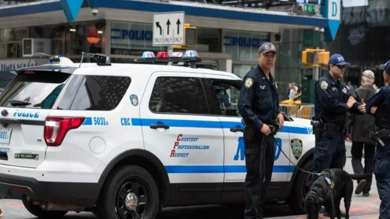 The burglars reportedly climbed the building through a fire escape.