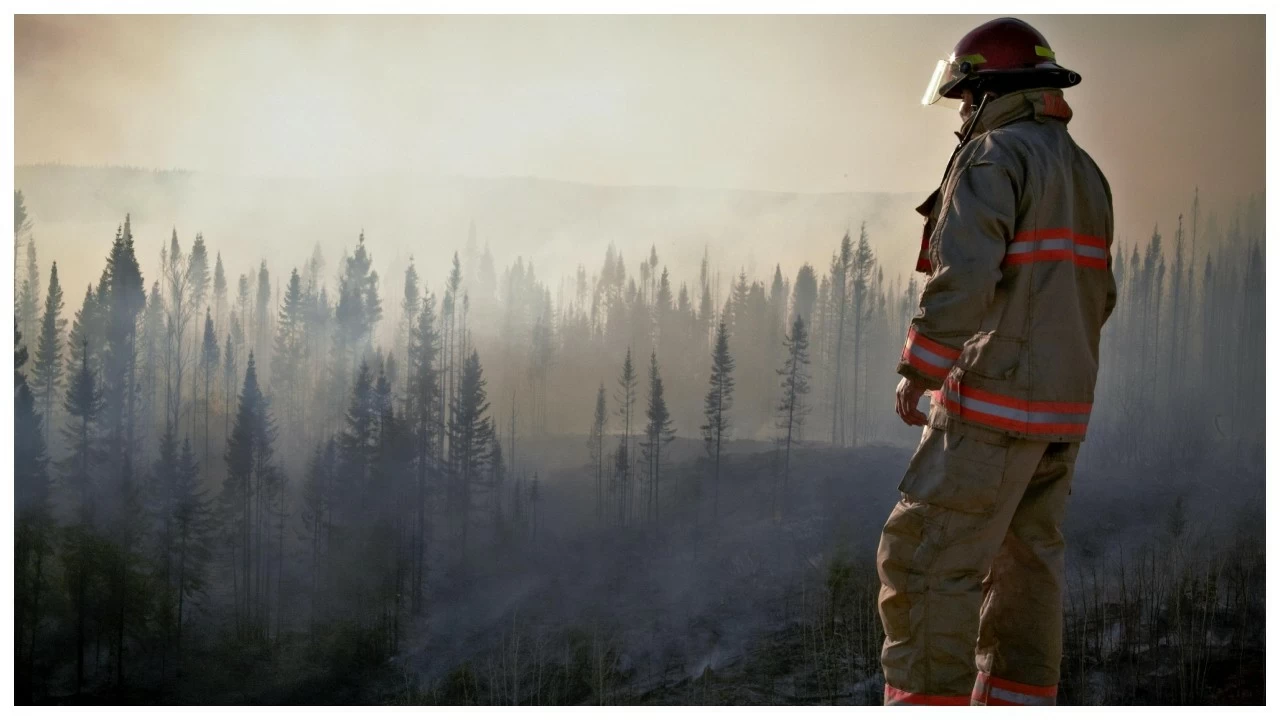 Air pollution has become India’s most significant health challenge.