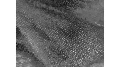 Despite its harsh environment, the region supports diverse plant and animal life, making it an ecological hotspot.