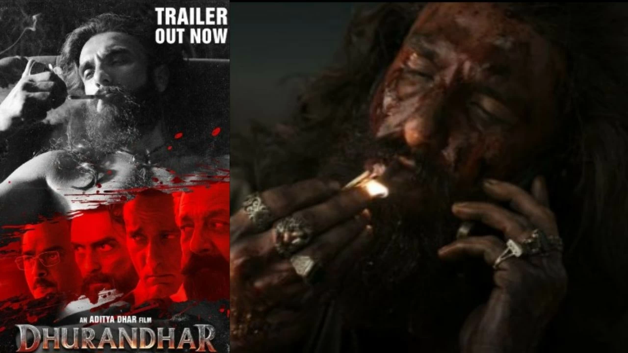 Dhurandhar box office report.