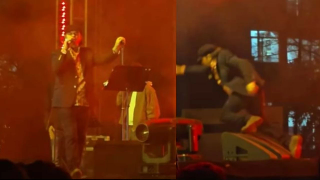 Mohit Chauhan falls on stage during a concert at AIIMS Bhopal.