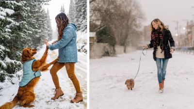 Winter pet safety hacks every owner needs this season

