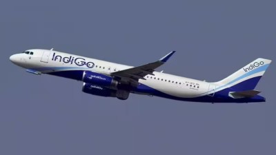 IndiGo controls more than 60 per cent of the domestic market
