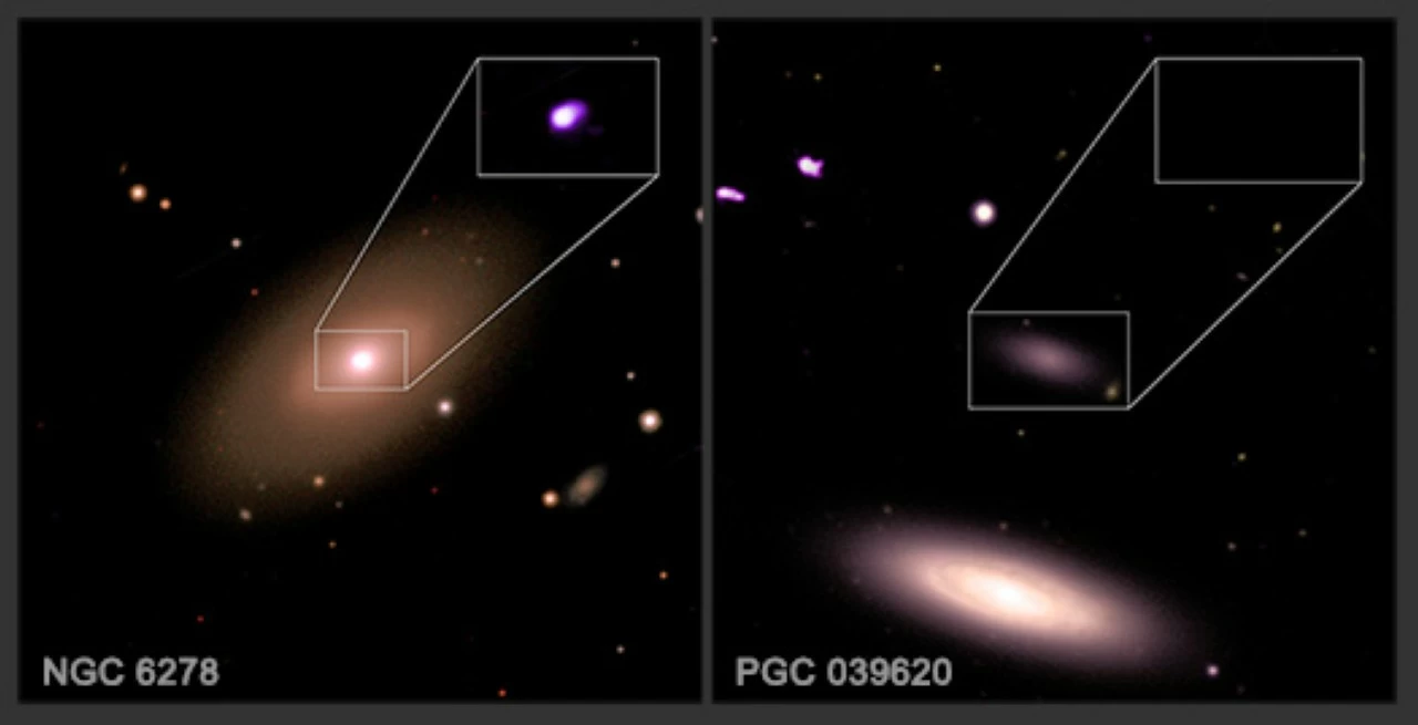 Comparision between dwarf galaxies with and without a central supermassive black hole. 