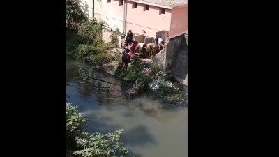 The incident has sparked outrage in the city