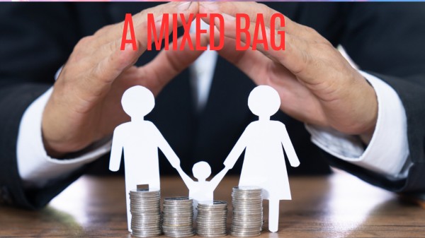 While 100% FDI and more teeth and freedom to IRDAI and LIC are positives, many experts wanted to see the legislation paving the way for composite insurance licenses and lower capital requirements for the sector.