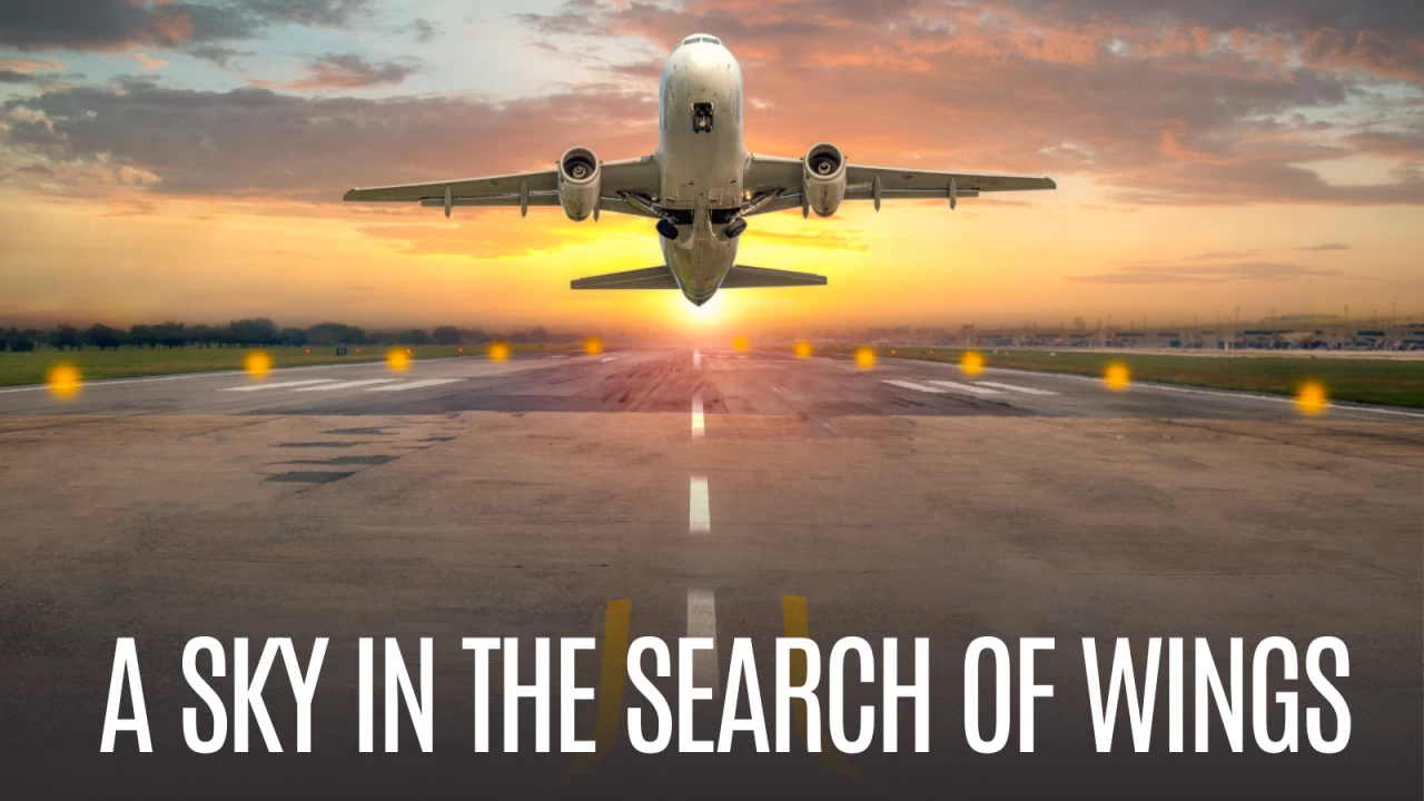 Indian civil aviation market is set to burst into a wide open market but the policymakers have to encourage more competition in this increasing pie.