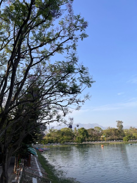 46e2cf35-e546-448a-bd66-d320509d9944